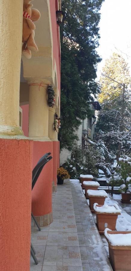 Casa Rosa Hotel Băile Olăneşti Buitenkant foto
