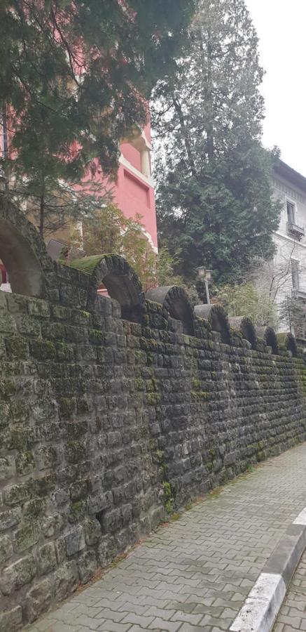 Casa Rosa Hotel Băile Olăneşti Buitenkant foto