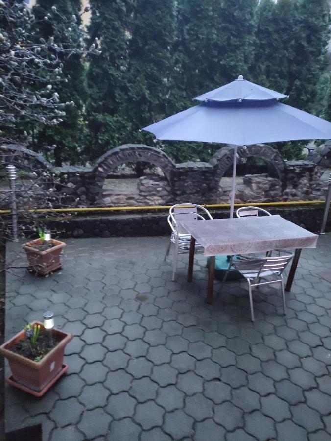 Casa Rosa Hotel Băile Olăneşti Buitenkant foto